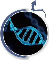 人类基因组 生物学的重大突破2
