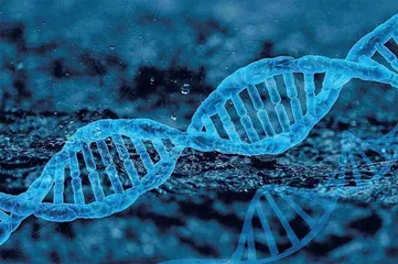 人类基因组 生物学的重大突破4
