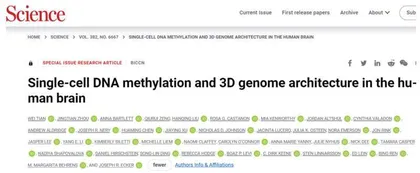 科学家揭示3D人类脑细胞图谱,从分子机制鉴定一百八十八种不同细胞类型2