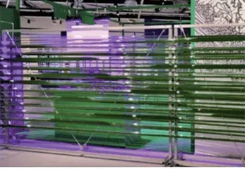科学家揭示3D人类脑细胞图谱,从分子机制鉴定一百八十八种不同细胞类型3