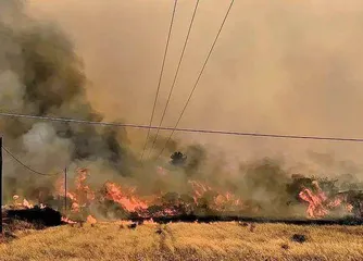 全球多地迎战极端天气2