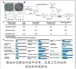 可将二氧化碳排放量减少三百五十万吨丹麦团队提出合成靛蓝新方法,即插即用,更经济环保2