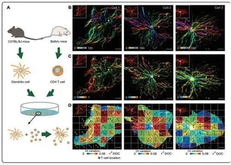科学家开发智能计算生物医学显微成像技术提升成像精度和信息获取能力1