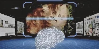 人工神经购物诞生是由猫咪启发的？