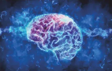 人工神经购物诞生是由猫咪启发的?5