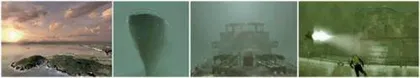 科学家故意击沉一艘船就为了看看它身上能长出啥6