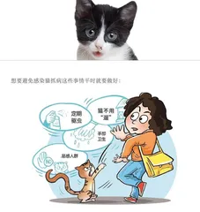 与猫玩耍小⼼这个病4
