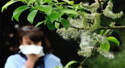 ⼩⼼“乱花渐欲迷⼈眼”花粉过敏怎么办4