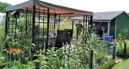 来看荷兰“李子柒” 们的操作如何实现有机蔬菜⾃由︖7