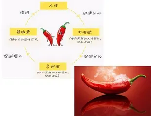 爱吃辣竟然有这么多好处1