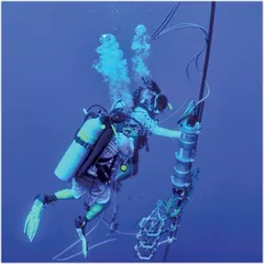 科学家发现鲸鱼语言与人类语言的相似性3