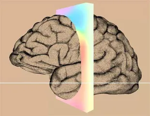 马斯克Neuralink有望进行首次人体试验或让瘫患者“神经控制”计算机光标2
