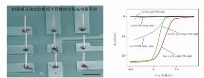 研制微生物-纳米复合新型材料将微生物燃料电池穿在身上1
