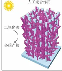 研制微生物-纳米复合新型材料将微生物燃料电池穿在身上2