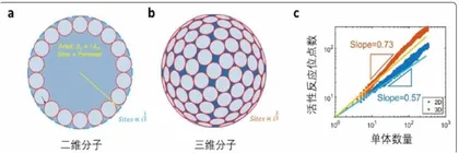 麻省理工学院博士后造出“革命性”二维聚合物材料强度的普通钢材的十二倍3
