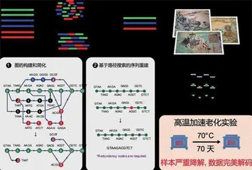 DNA存储⼜⼀重⼤突破!合成⽣物学团队将⼗幅敦煌壁画存储于DNA1