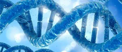 DNA存储⼜⼀重⼤突破!合成⽣物学团队将⼗幅敦煌壁画存储于DNA2