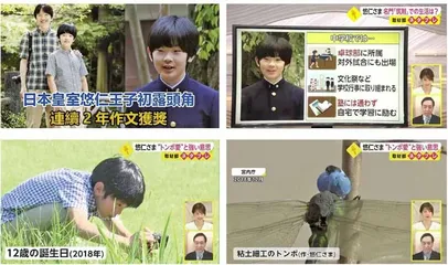 日本悠仁亲王的求学路7