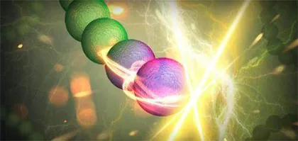 瑞⼠研究⼈员成功将纳⽶管植⼊蓝藻可增加电量并代代遗传3