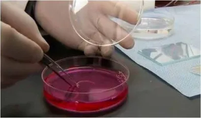 新型“生物墨水”,让科幻走进现实2