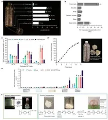 最快二十四小时内完全降解塑料!德克萨斯大学团队通过机器学习开发全新PET⽔解酶1