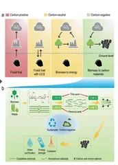 生物质转化关注碳储存与负碳排放1