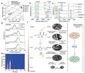 生物质转化关注碳储存与负碳排放2