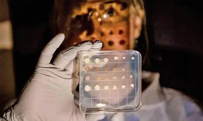生物学家用酵母制备衣康酸微生物工场,有望代替化石燃料 改善大气环境1