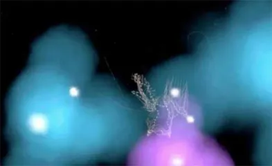 VR和迷幻剂⼀样可以引向“超越之境”2