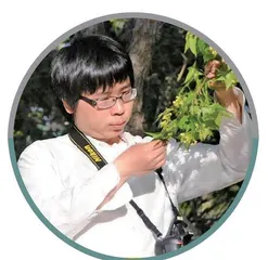 海岛花开4