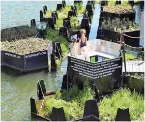 “海绵城市”鹿特丹是如何规划城市水利建设的11