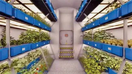 太空食品或将“自给自足”?美国国家航空航天局发起“深空食品挑战赛”,最高可获得一百万美元奖金3