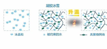 研发“凝胶冰雪”新型材料可用于运动诊断康复极地声学通讯等多场景永远不融化的冰雪4