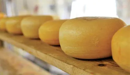 比尔· 盖茨投资的七家食品公司营收四十亿美元：“解决气候危机的关键是替代蛋白质”