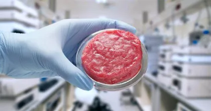 人造肉新锐生产不合胎牛血清的细胞培养基,细胞生长速度 更快,生产成本更低2