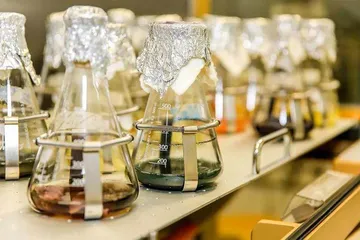 工程微生物还能产生自然界中不存在的颜色?4