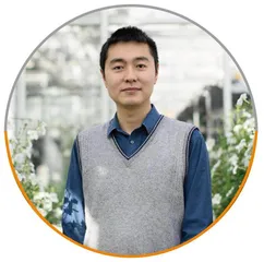 普渡大学团队成功解析苯甲醛在植物中的合成途径1