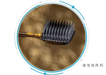 首次让渐冻症患者“ 解冻” 交流能力侵入式脑机接口或成为完全瘫痪患者与外界沟通的“终极手段”2
