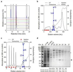 普渡大学团队成功解析苯甲醛在植物中的合成途径2