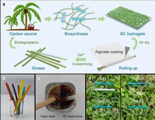 细菌纤维素初创A轮融资四百四十万美元,计划扩大其世界首个生物制造设施2