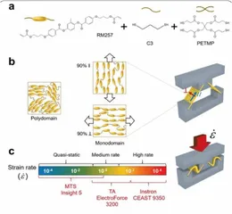约翰霍普金斯大学开发液晶弹性体减震材料受六点八千克重物冲击时速度仍可维持在三十五千米每小时1