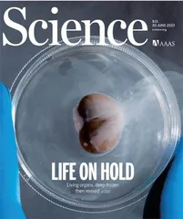 科学家开发纳⽶加热技术将器官冷冻保存期延⻓⾄⼀百天4