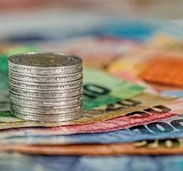 超亿元基金投入农业前沿技术 荷兰发力农业营商生态2