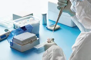 超亿元基金投入农业前沿技术 荷兰发力农业营商生态5