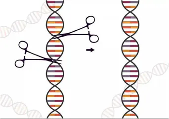二零二一科学漫游十大领域深刻改变人类未来3