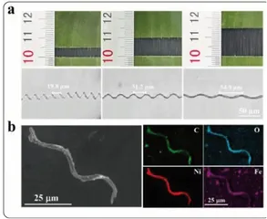 香蕉叶化身机器人?合成新型基于生物质微导管的微米机器人2