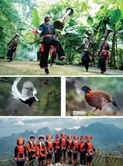 中国瑶族在⾦秀1