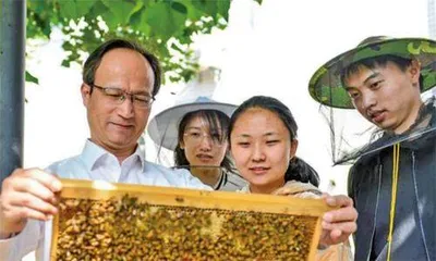 多巴胺激发蜜蜂的[食物欲望]