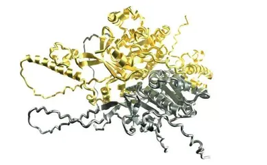 美《科学》评出二零二一年度十大突破