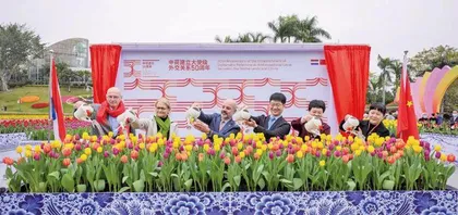 郁金香盛放背后:解开荷兰园艺业密码1
